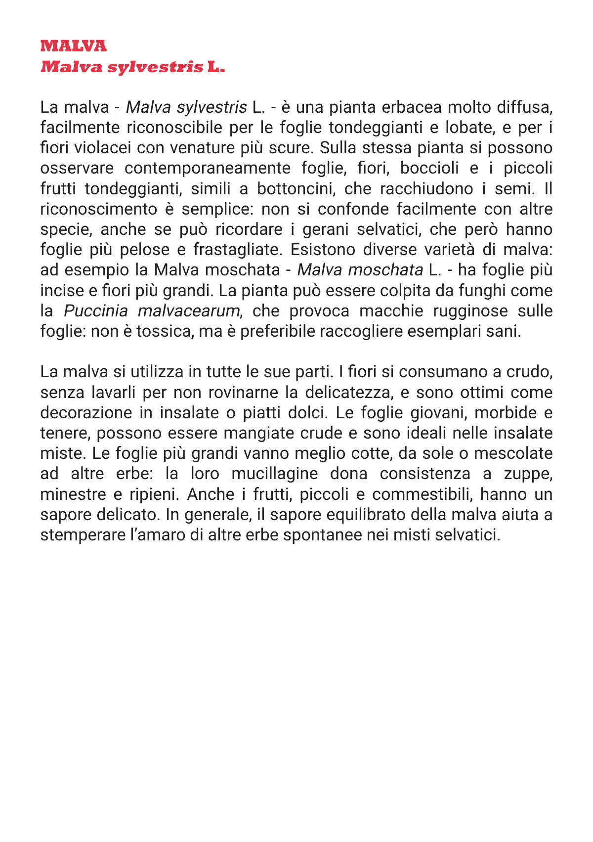 L'Otto in Cucina - Fanzine — pagina 8 di 48