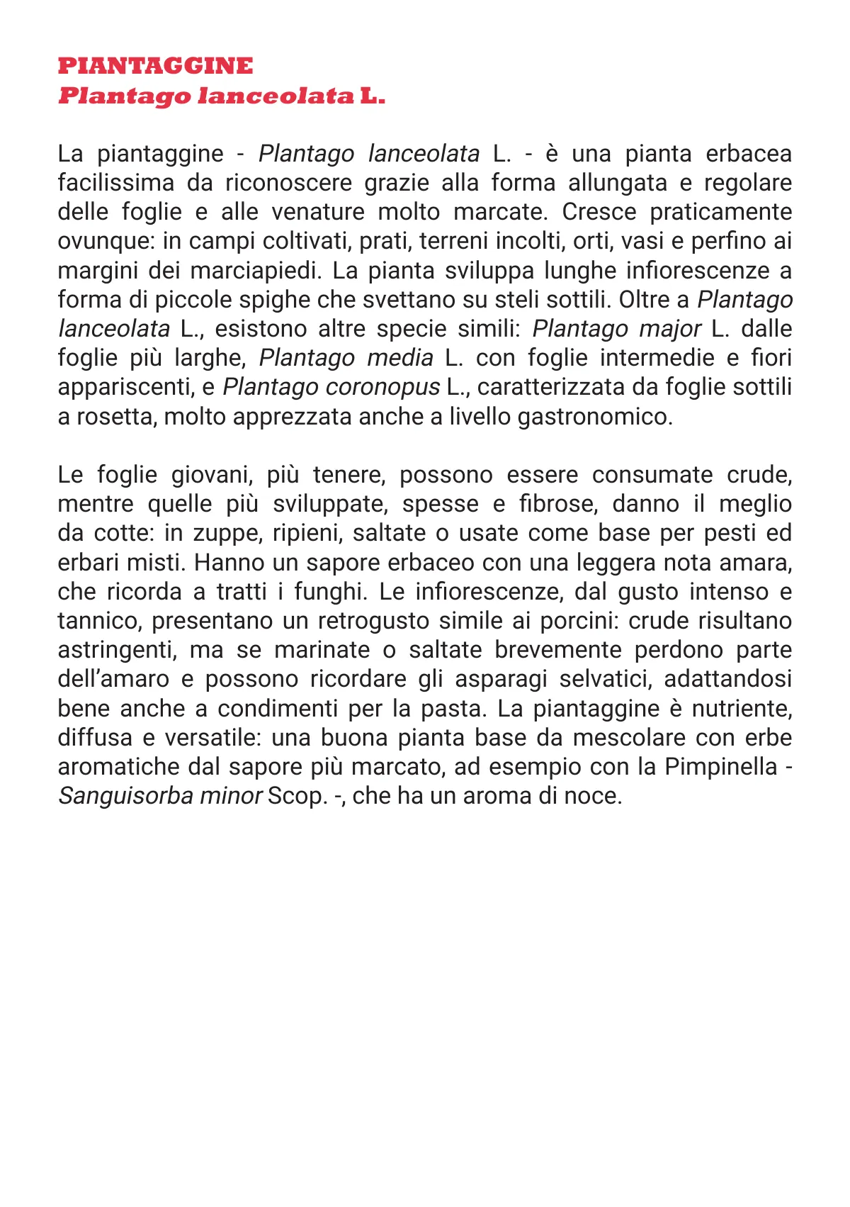 L'Otto in Cucina - Fanzine — pagina 28 di 48